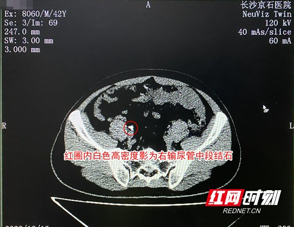 图片8.wm.jpg