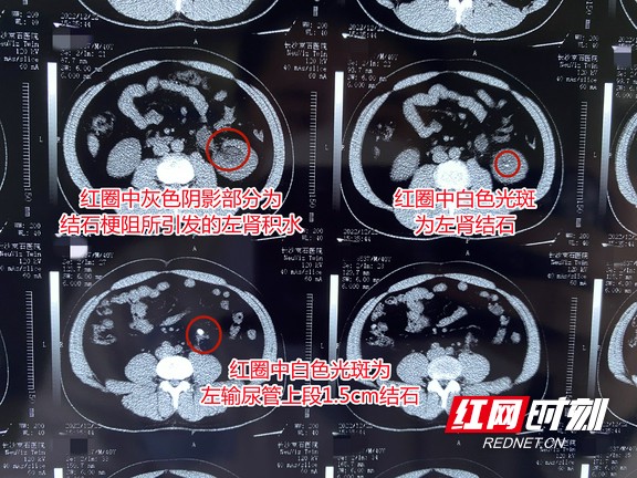 图片8.wm.jpg
