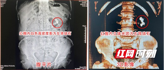 图片1.wm.jpg