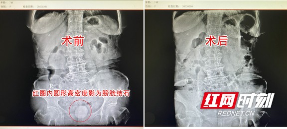 图片1.wm.jpg