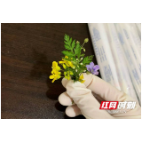 湖南省脑科医院“大白”助力雨花区跳马镇疫情防控