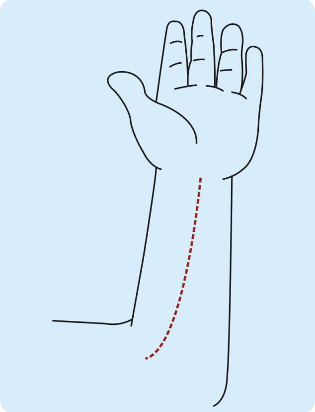 图片6.jpg