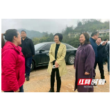 张家界市领导到桑植县开展巡河工作