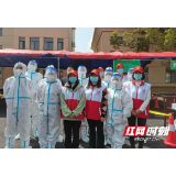 岳阳县黄沙街镇:党员示范亮身份 争做“疫线先锋军”