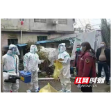 张家界永定区卫健人:清明小长假 “医”起守护人民群众安康