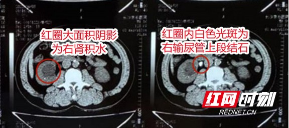 图片1.wm.jpg 图片1.wm.jpg