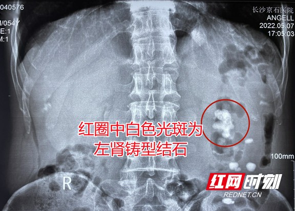 图片2.wm.jpg