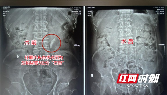 图片10.wm.jpg