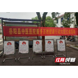 岳阳县卫健局开展中医药法实施五周年宣传活动