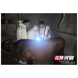 岳阳君山区疾控中心开展发热伴血小板减少综合征病毒感染率及危险因素调查