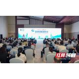 湖南省脑科医院承办湖南省首届医院质量大会分会