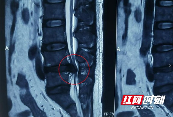 图片11.wm.jpg