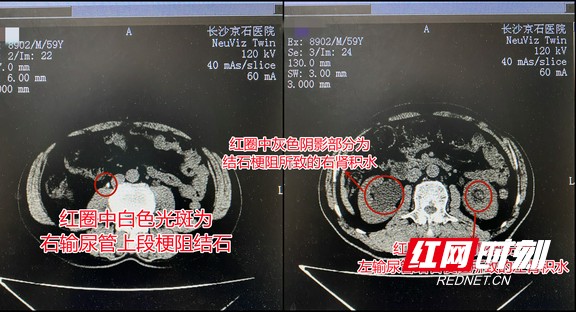 图片1.wm.jpg