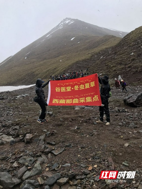 图片4.wm.jpg