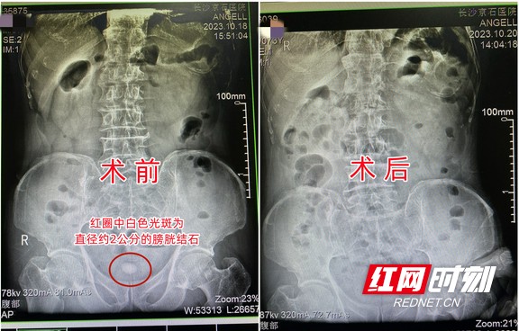 图片11.wm.jpg