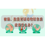 宁乡市人民医院科普视频：被猫、狗或其他动物咬伤、抓伤怎么办？
