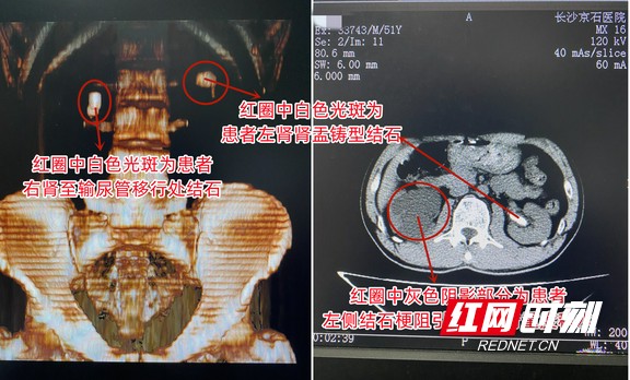 图片1.wm.jpg