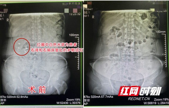 图片1.wm.jpg