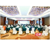湖南省健康服务业协会脑与脑健康分会（2023）年会召开