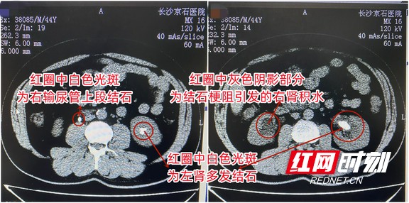图片12.wm.jpg