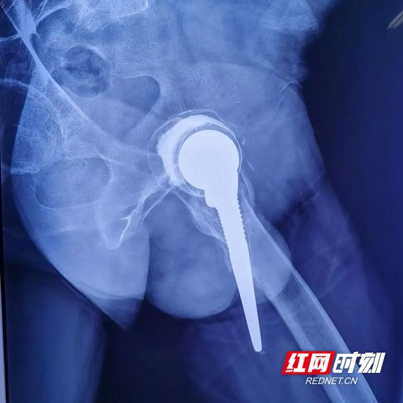 图片1.wm.jpg
