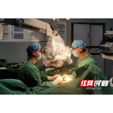 断指再植——宁乡市人民医院骨三科的“看家本领”拯救多位患者