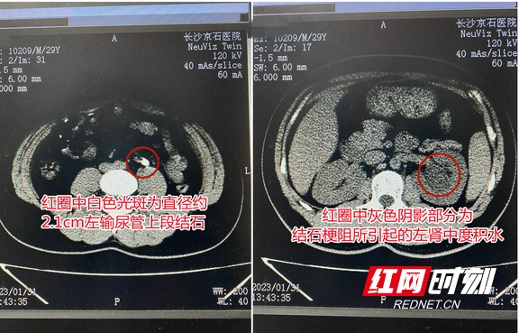 图片2.wm.jpg