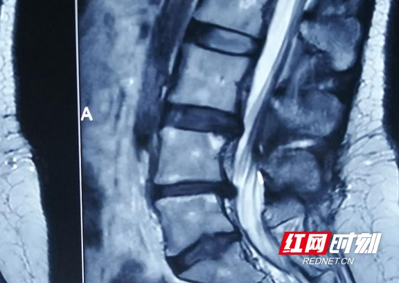 图片19.wm.jpg