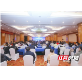 第二届湖湘血液净化工程高峰论坛在长沙召开