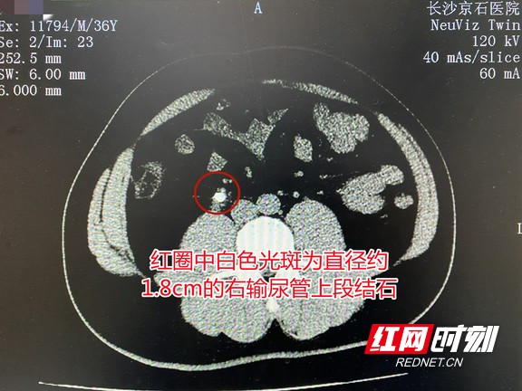 图片7.wm.jpg