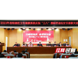 岳阳楼区卫健系统召开庆祝“三八”国际劳动妇女节表彰大会