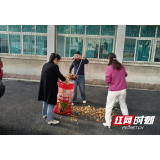 岳阳县卫健局：精雕细琢家园环境 助力提升单位品质