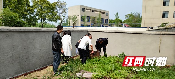 图片17.wm.jpg 图片17.wm.jpg