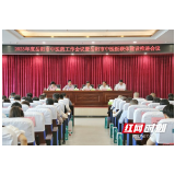 岳阳市召开中医药工作会议暨中医医联体建设推进会