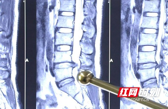 图片1.wm.jpg 图片1.wm.jpg