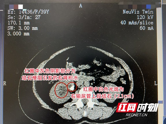 图片7.wm.jpg