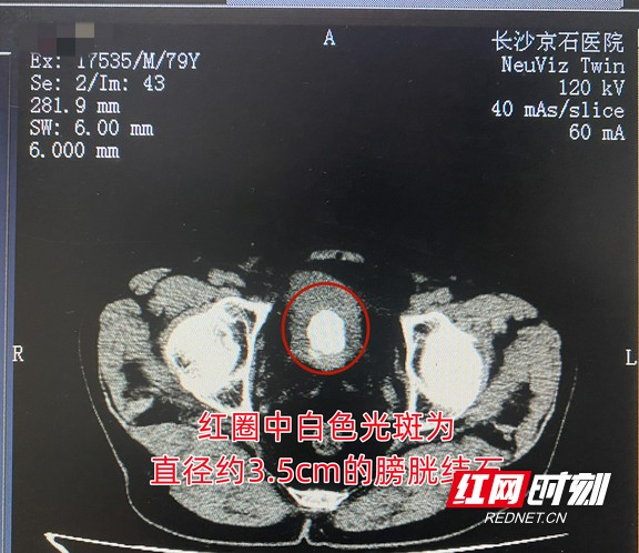 图片20.wm.jpg