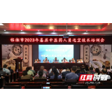 临湘市召开2023年基层中医药人员适宜技术培训会