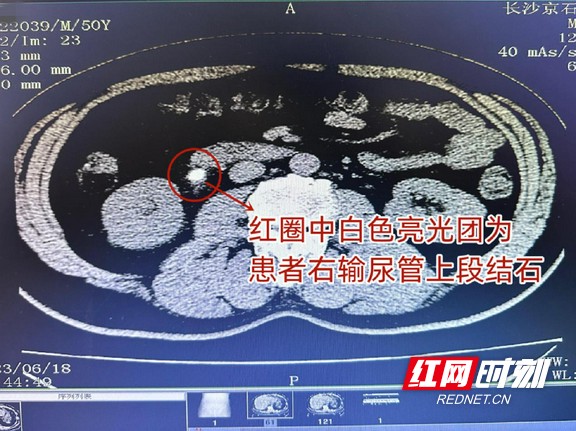 图片12.wm.jpg