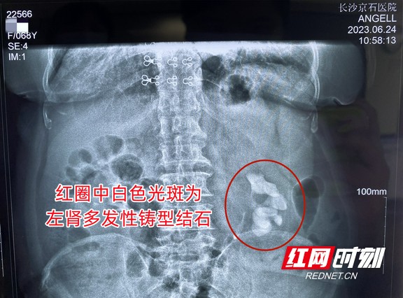 图片2.wm.jpg