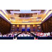 新湘雅互联网+MDT 模式儿科新进展论坛暨湖湘儿童重大疾病管理高峰论坛召开