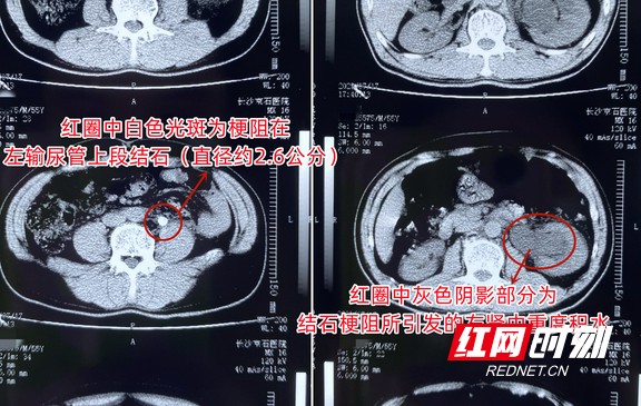 图片18.wm.jpg