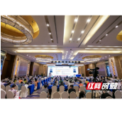 第四届湖湘风湿免疫高峰论坛暨省健康服务业协会风湿免疫分会年会召开