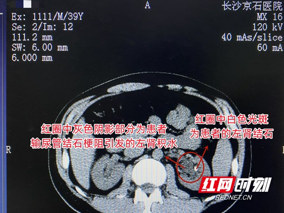 图片13.wm.jpg