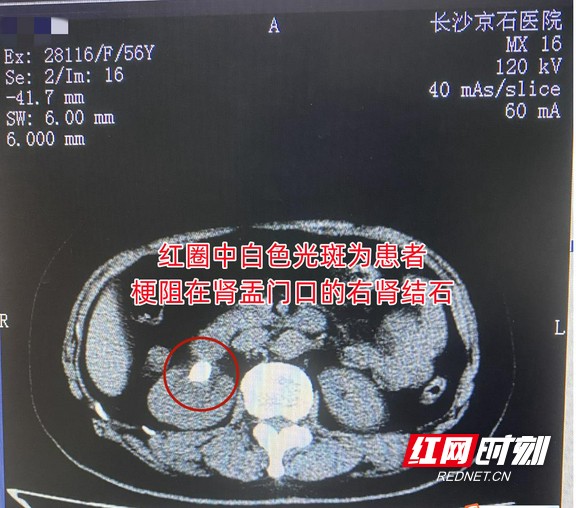 图片1.wm.jpg