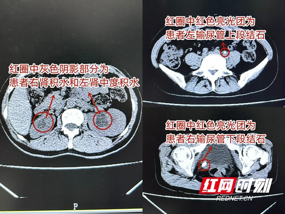 图片1.wm.jpg 图片1.wm.jpg