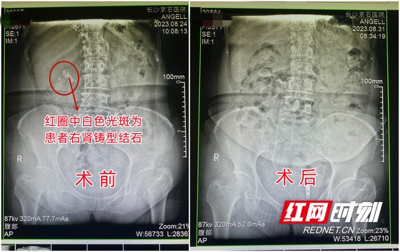 图片1.wm.jpg