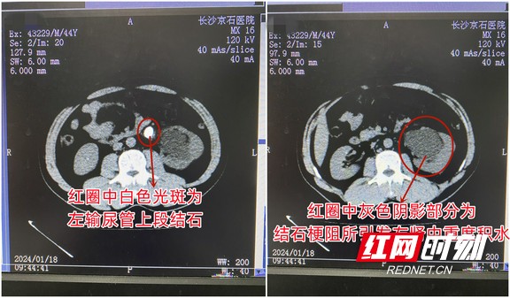 图片2.wm.jpg
