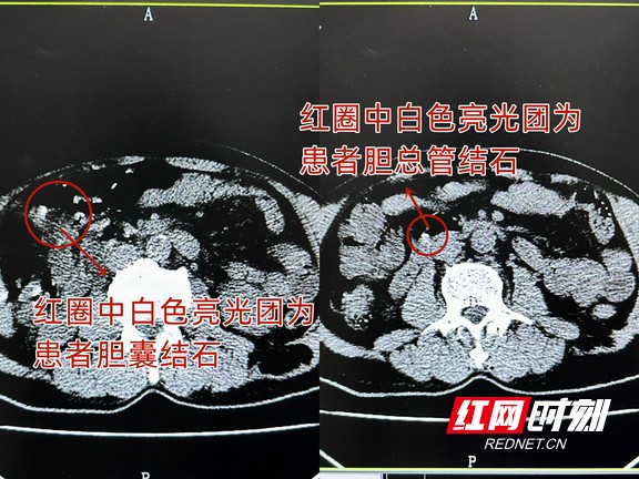 图片1.wm.jpg