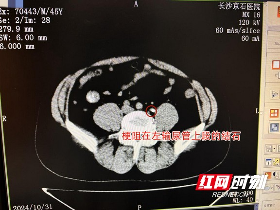 图片2.wm.jpg